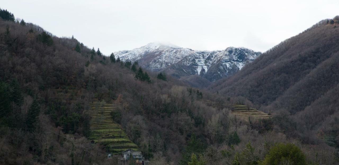 Апартаменти Casa Della Posta Borzonasca Екстер'єр фото